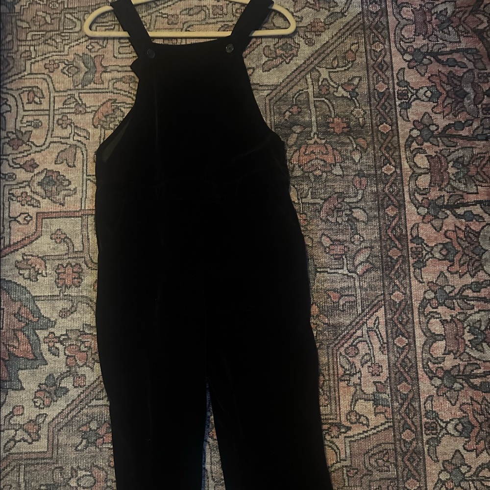 Velvet overalls! - Picture 2 of 2